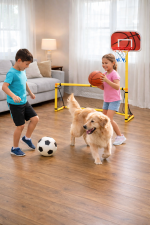 Portable 2-in-1 Kids Football Goal Post & Basketball Hoop Set with Ball, Pump & Net – Indoor Outdoor Sports Playset for Backyard, Garden & Home Practice - Image 6