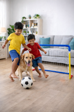 Foldable Kids Football Goal Post Set – Mini Soccer Net with Ball, Pump & Accessories for Indoor Outdoor Use - Image 6